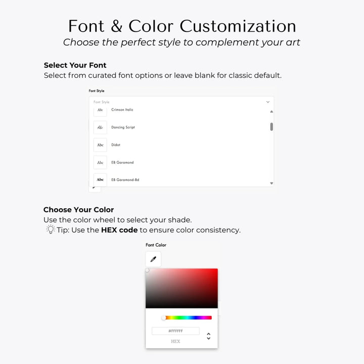 Image 6_ Font & Color Options