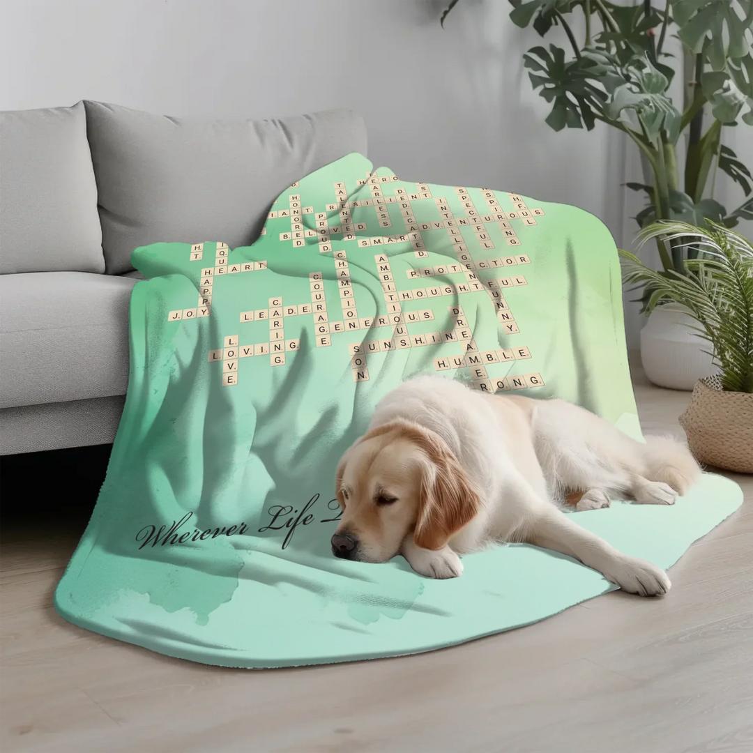 Transparent Blanket(Canva)