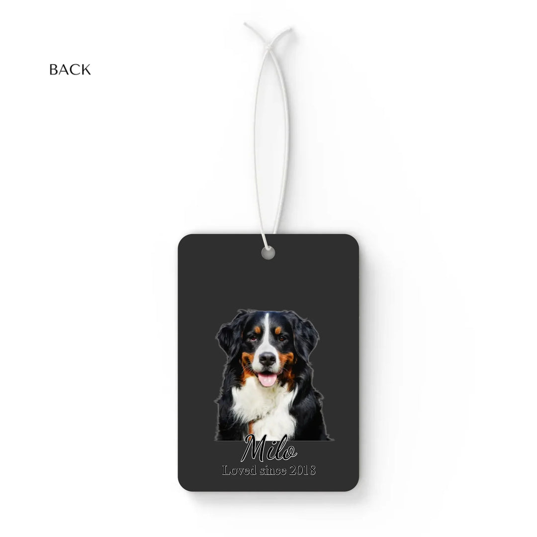 CAR AIR FRESHNER BACK