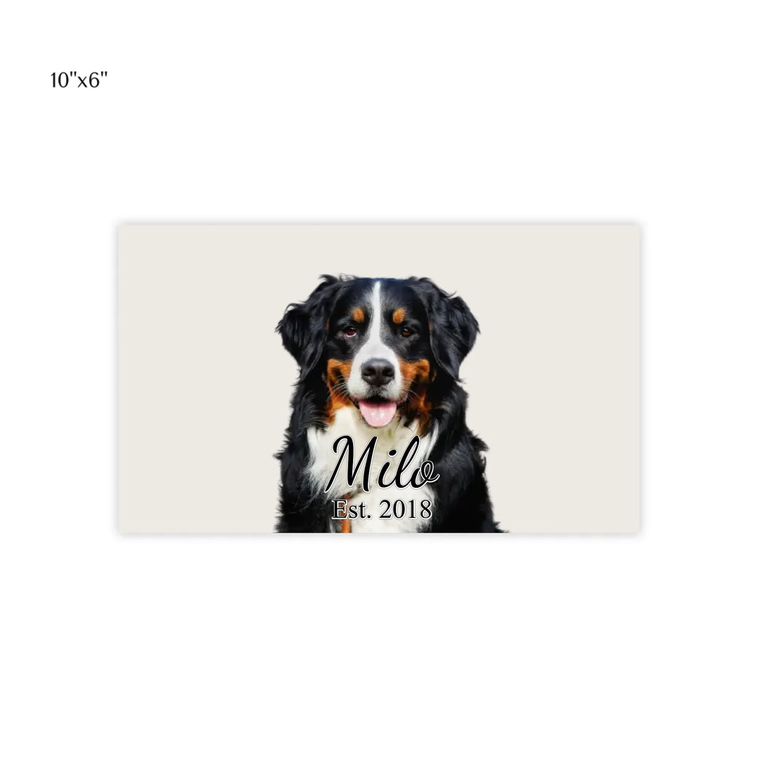 post it note pads 10x6