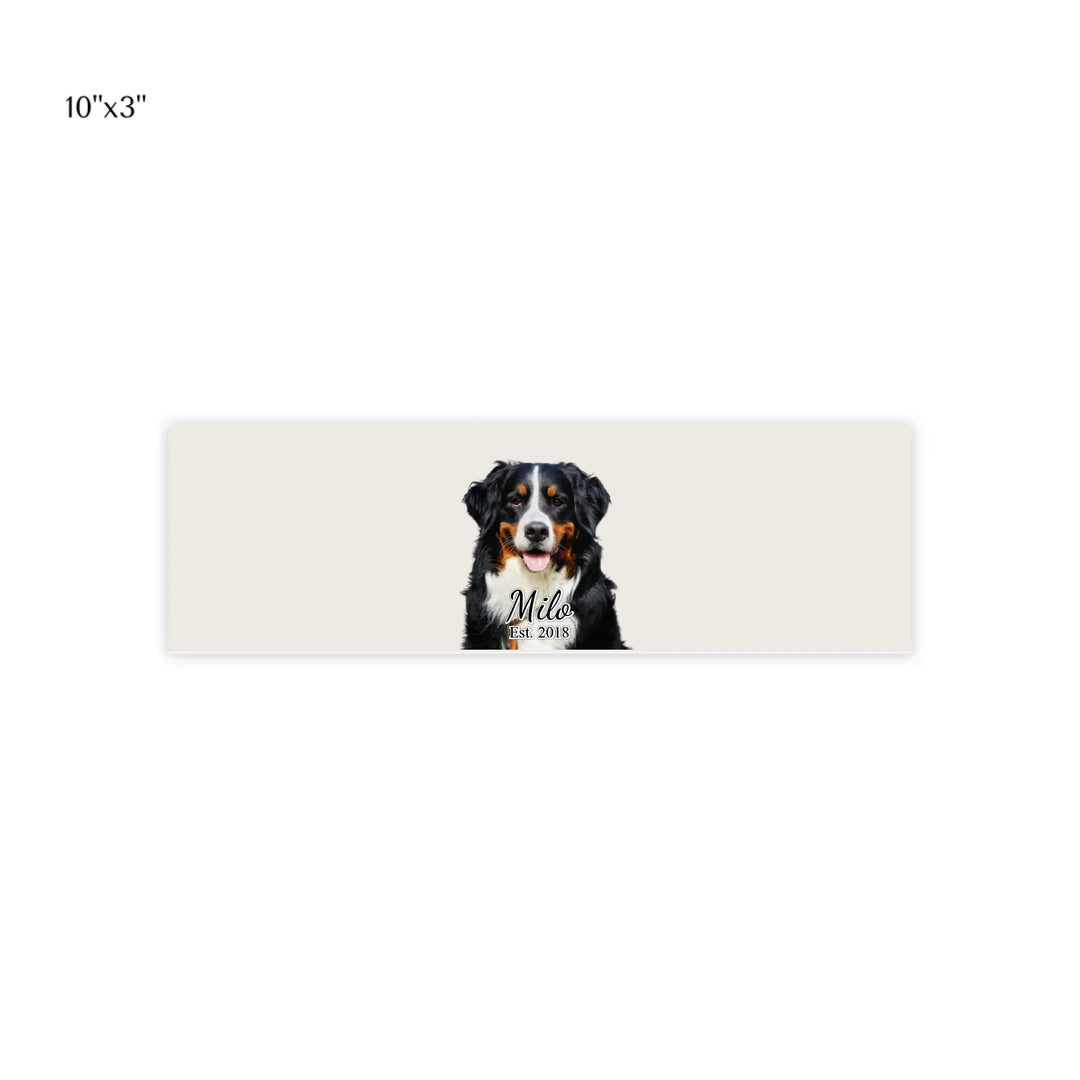 post it note pads 10x3