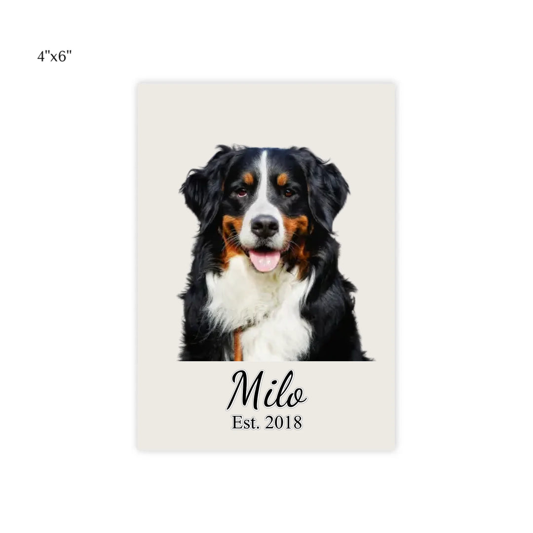 post it note pads 4x6