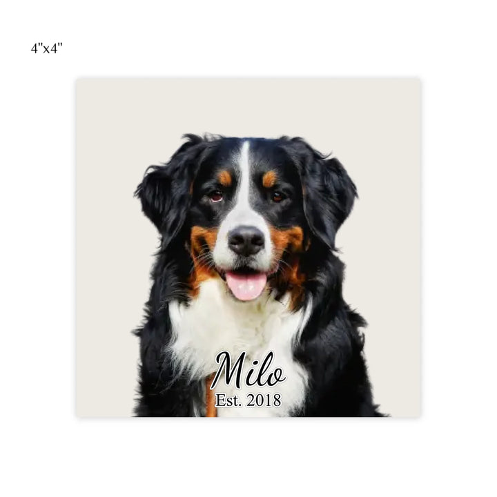 post it note pads 4x4