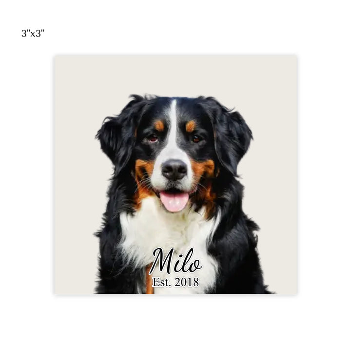 post it note pads 3x3
