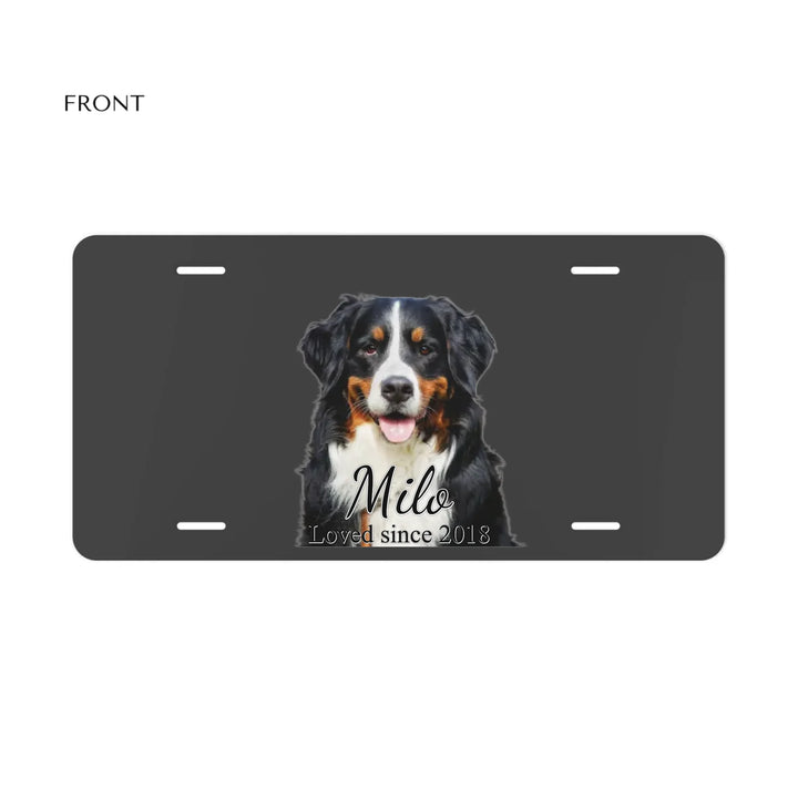 LICENSE PLATE DECORATIVE Front