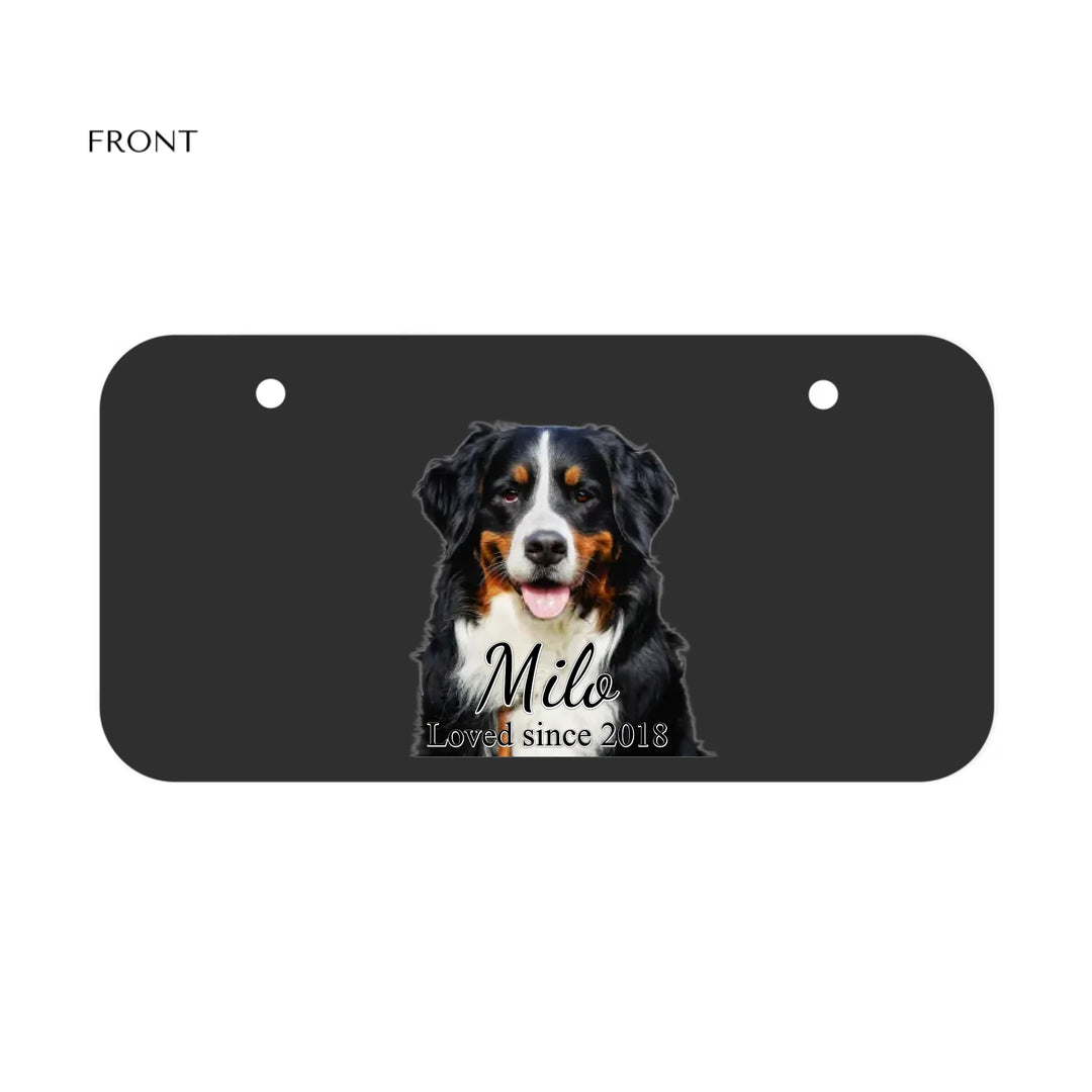 MINI LICENSE PLATE Front