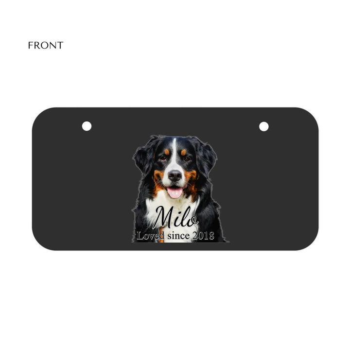 MINI LICENSE PLATE Front