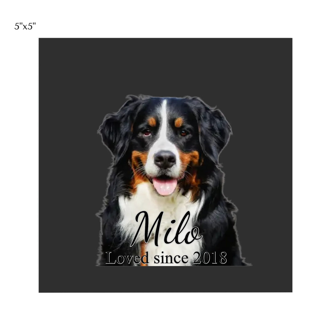 CAR MAGNET 5x5 Front