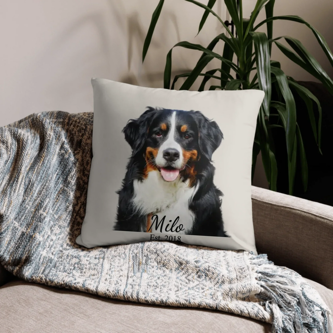 05_basic_pillow_lifestyle_22x22_base