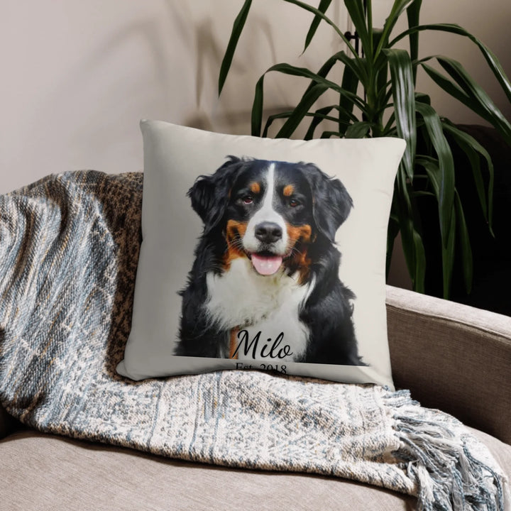 05_basic_pillow_lifestyle_22x22_base