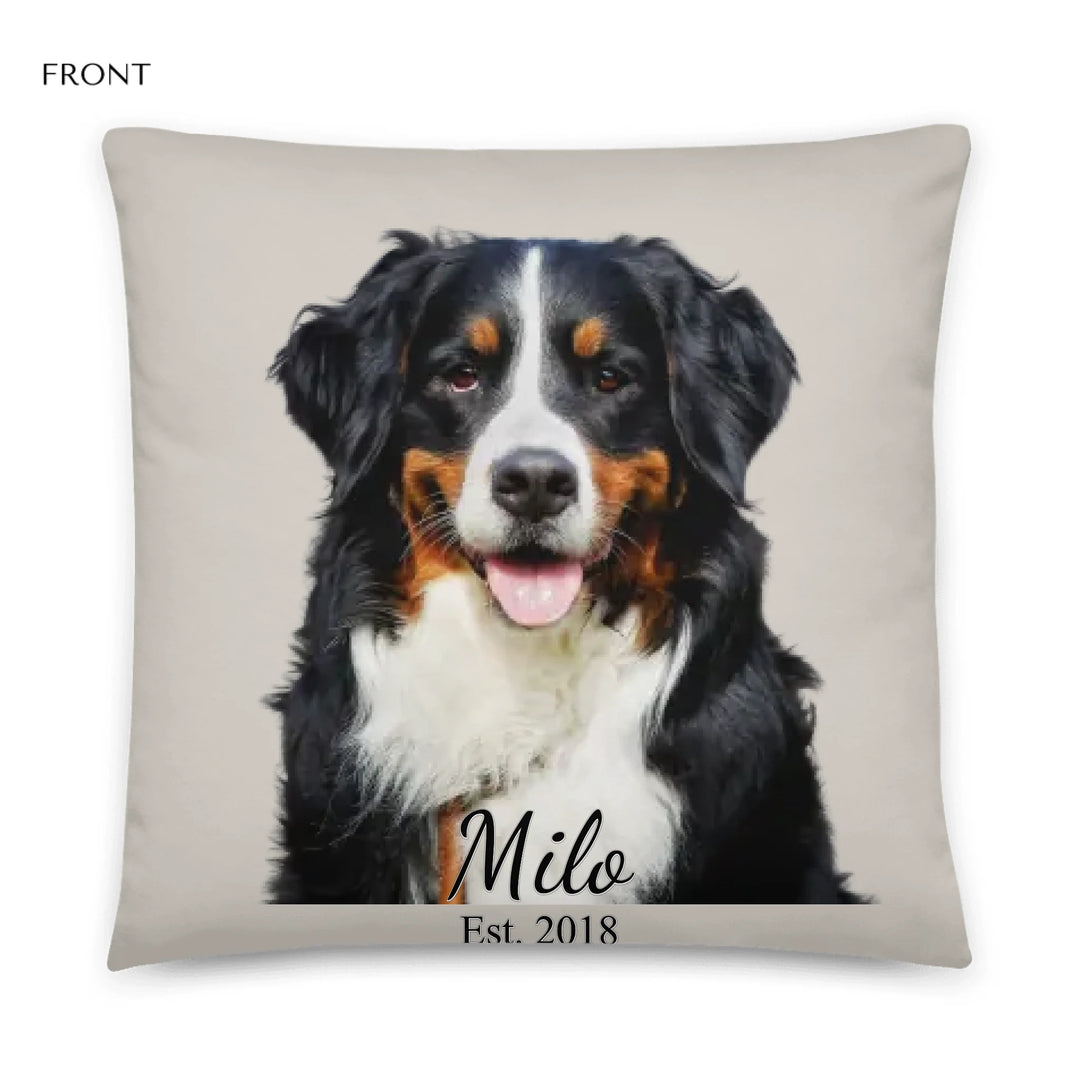 05_22x22_basicpillow_default_base_whitebg