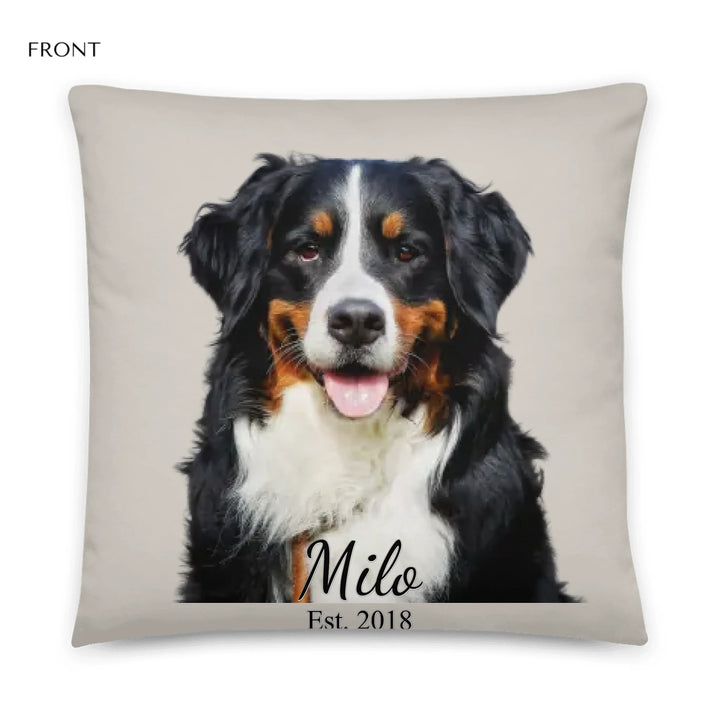 05_22x22_basicpillow_default_base_whitebg