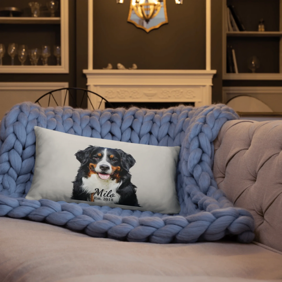 02_612S_pillow_3