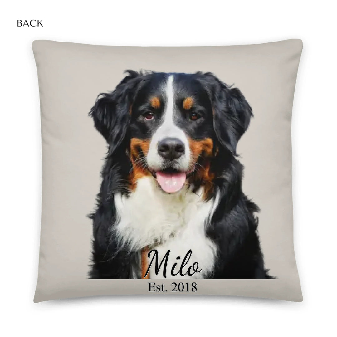 05_22x22_basicpillow_default_base_whitebg