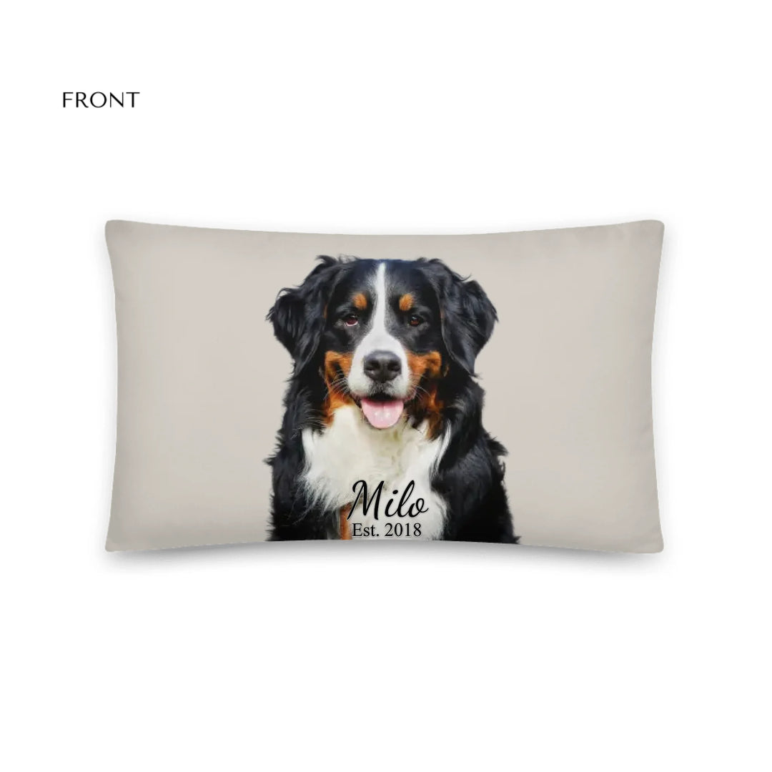 05_20x12_basicpillow_default_base_whitebg