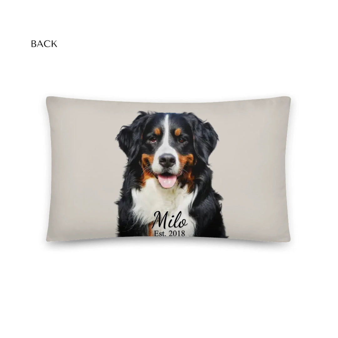 05_20x12_basicpillow_default_base_whitebg