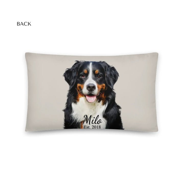 05_20x12_basicpillow_default_base_whitebg