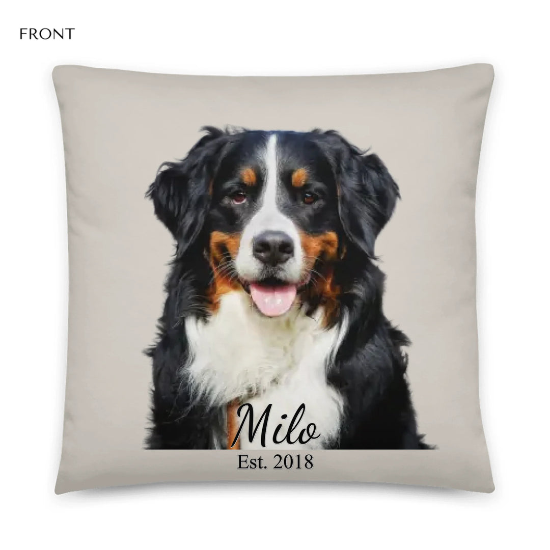 05_22x22_basicpillow_default_base_whitebg