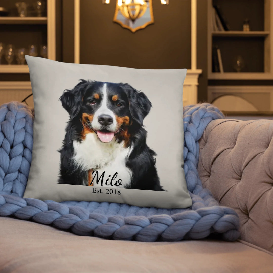 05_22x22_basicpillow_lifestyle3_base