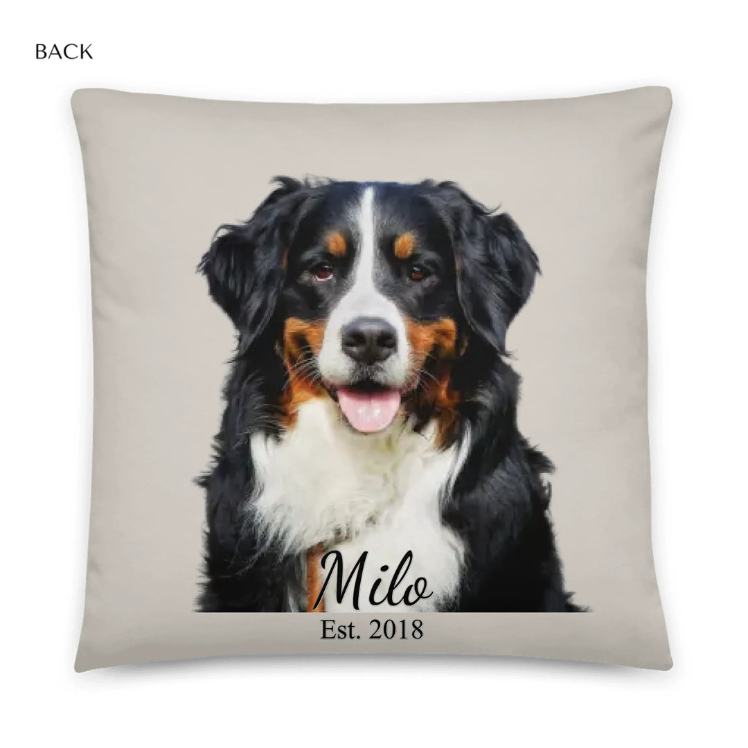 05_22x22_basicpillow_default_base_whitebg