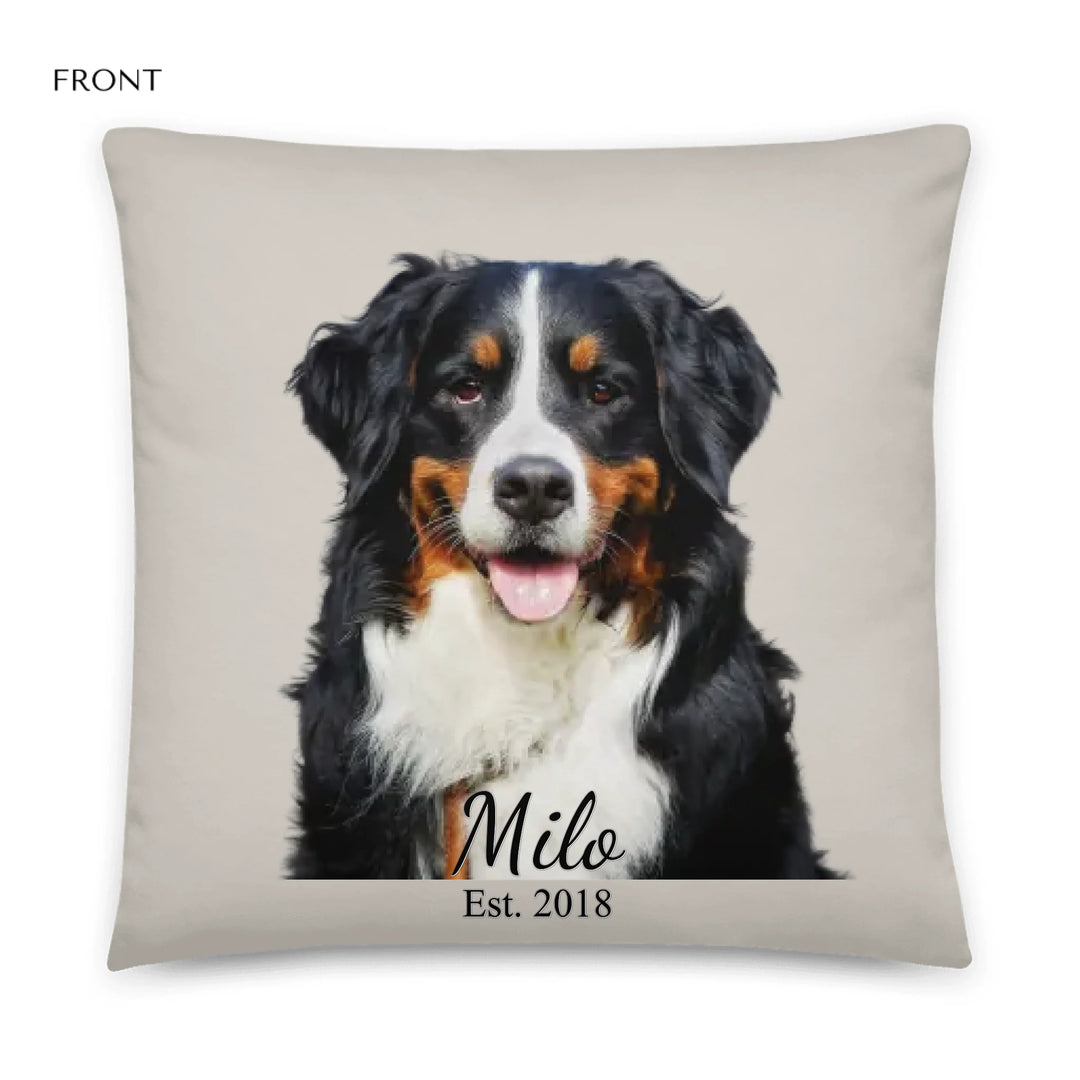 05_22x22_basicpillow_default_base_whitebg