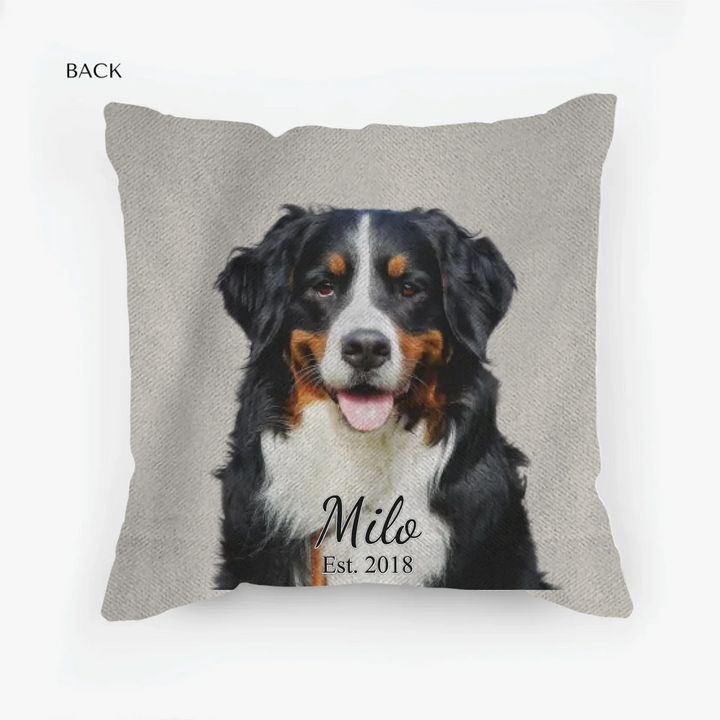 woven pillow back