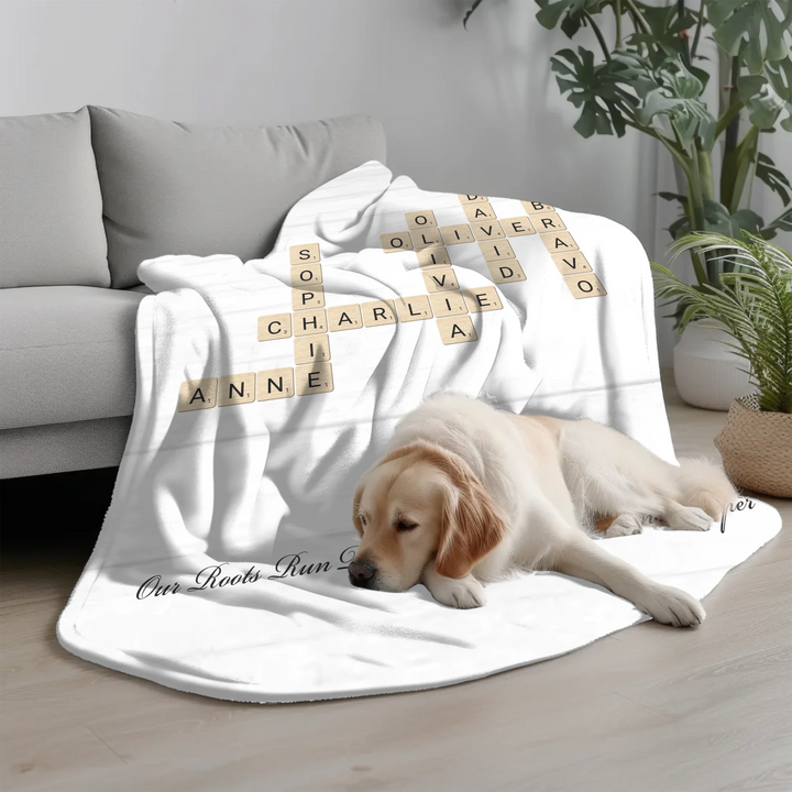 Transparent Blanket(Canva)