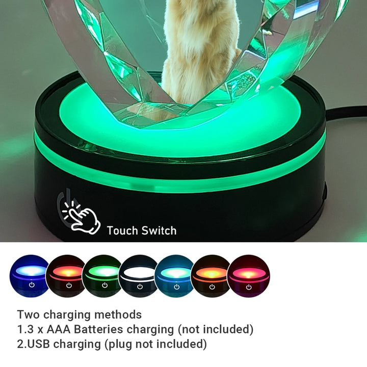 Heart Lace Pet Crystal with soft LED light featuring printed or engraved dog photo and personalized text-ARTFULANE