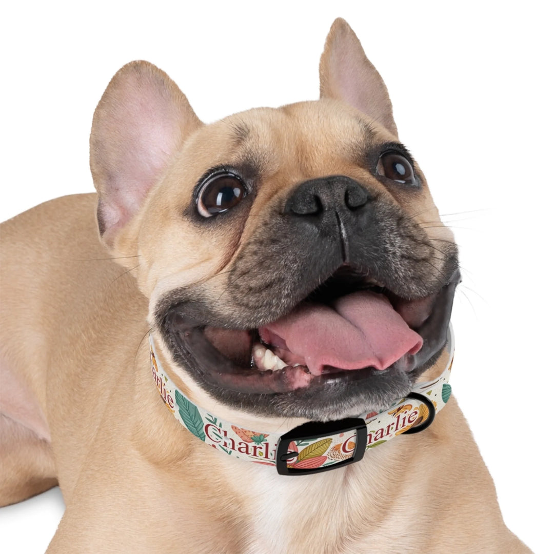 Dog wearing Personalized pet collar with custom text and playful pattern; available in 10 colorful designs for dogs or cats-ARTFULANE
