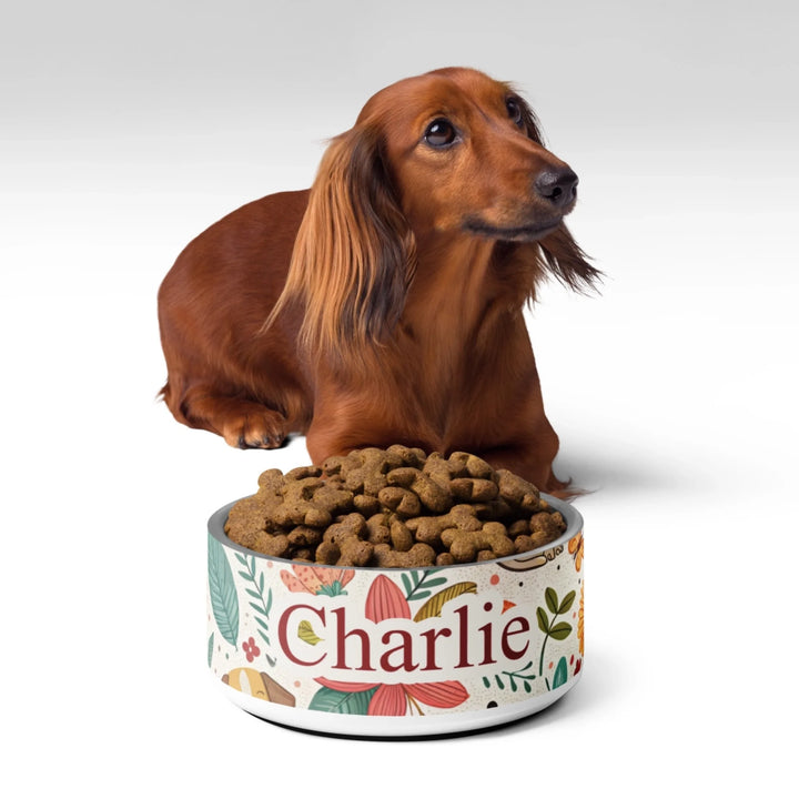 Personalized stainless steel pet bowl with two lines of custom text and playful pattern; available in 10 colorful designs for dogs or cats-ARTFULANE