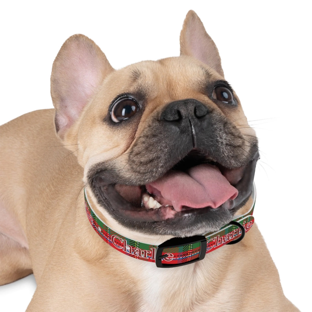Dog wearing Personalized tartan plaid pet collar with custom text like a name. Available in different plaid colors for dogs or cats-ARTFULANE