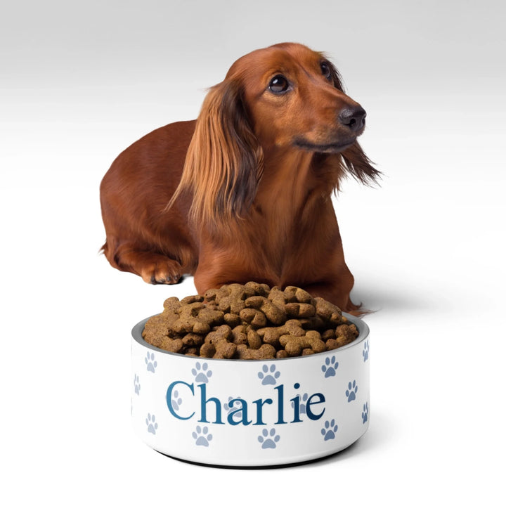 Dog beside Personalized paws print pet stainless steel bowl with custom text like a name. Available in different paw print colors for dogs or cats-ARTFULANE