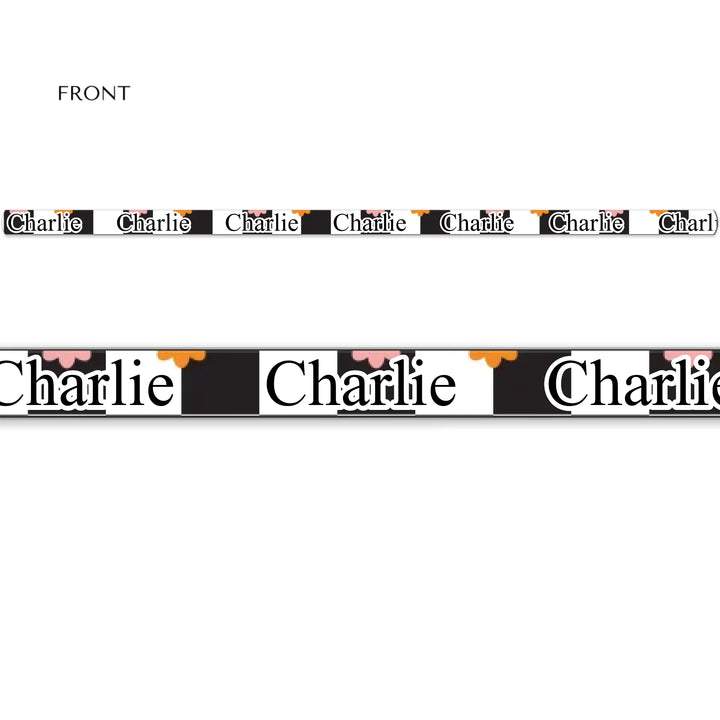 Personalized Retro Groovy pet leash with custom text like a name. Available in different retro groovy pattern colors for dogs or cats-ARTFULANE