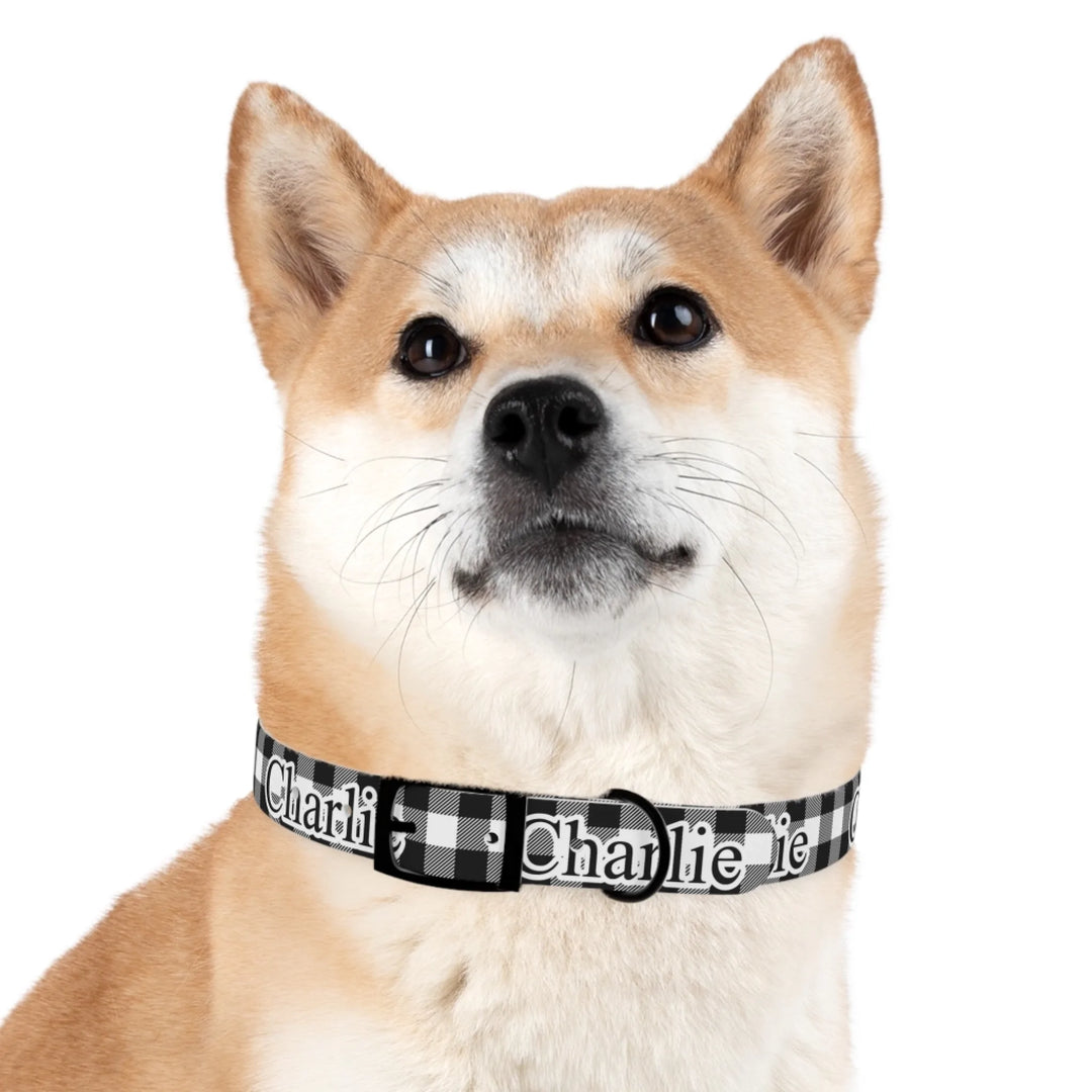 Dog wearing Personalized Gingham pet collar with custom text like a name. Available in different Gingham pattern colors for dogs or cats-ARTFULANE