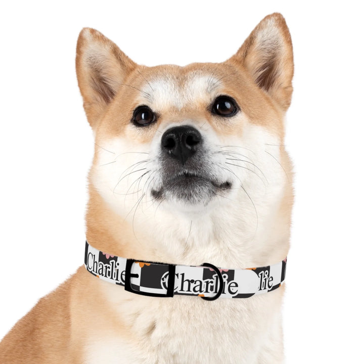 Dog wearing Personalized Retro Groovy pet collar with custom text like a name. Available in different retro groovy pattern colors for dogs or cats-ARTFULANE