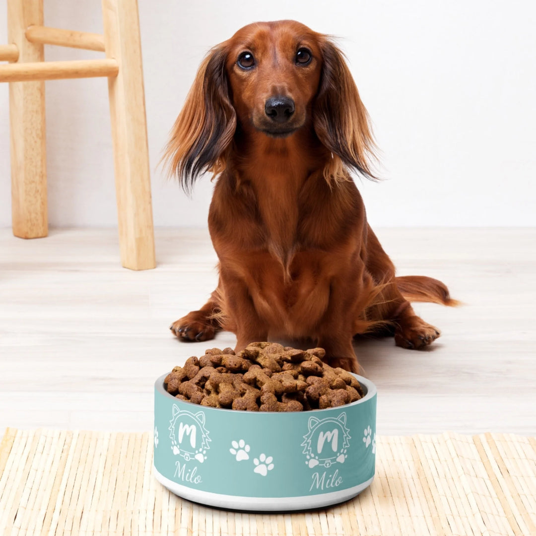 Dog using Personalized Monogram Name pet stainless steel bowl with custom text. Available in different monogram styles in any color for dogs or cats-ARTFULANE