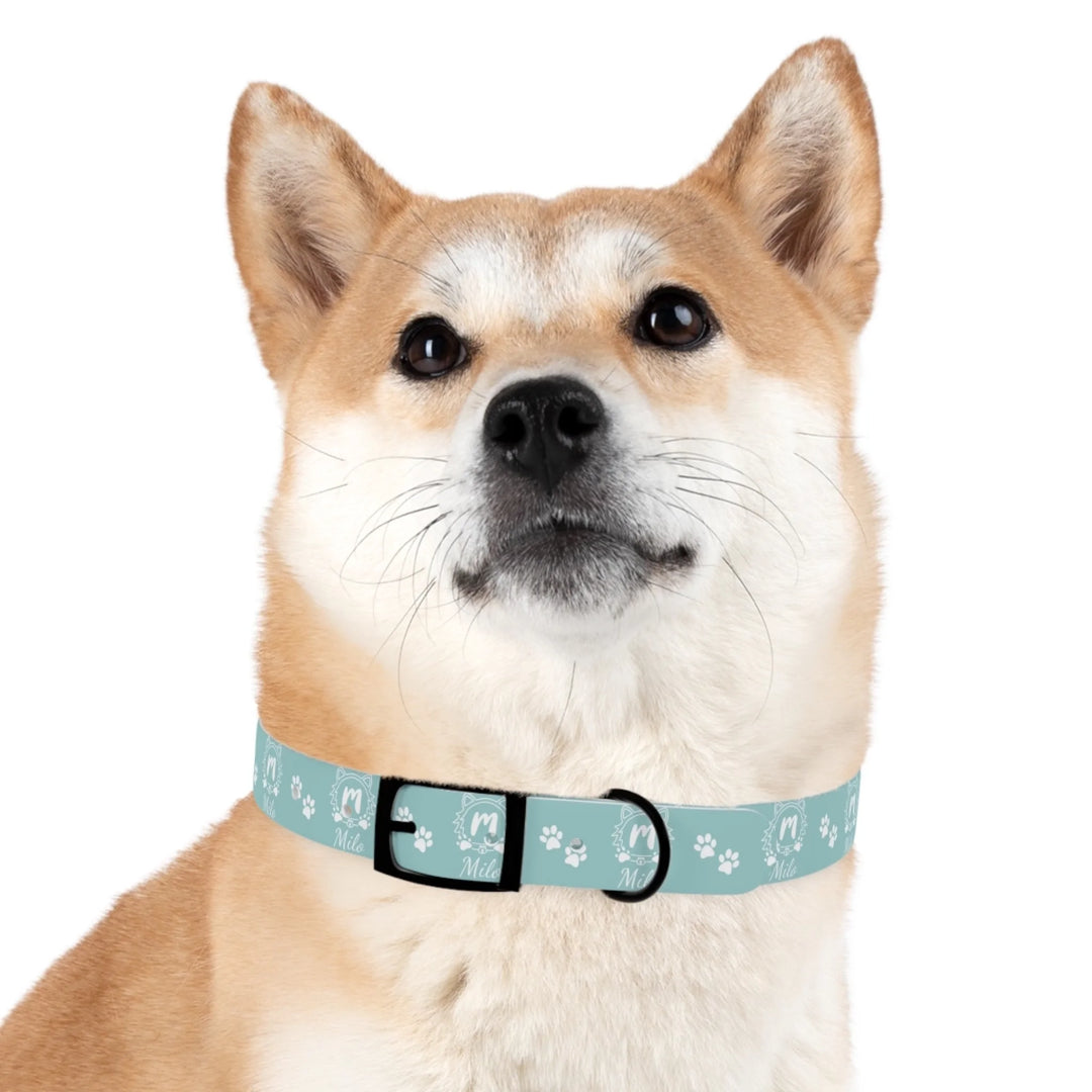 Dog wearing Personalized Monogram Name pet collar with custom text. Available in different monogram styles in any color for dogs or cats-ARTFULANE