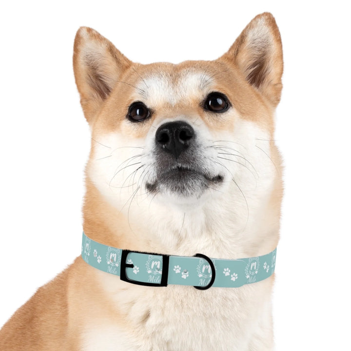 Dog wearing Personalized Monogram Name pet collar with custom text. Available in different monogram styles in any color for dogs or cats-ARTFULANE