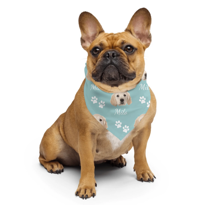 Dog wearing Personalized Photo pet bandana with custom text like a name. Available in different in any color for dogs or cats-ARTFULANE