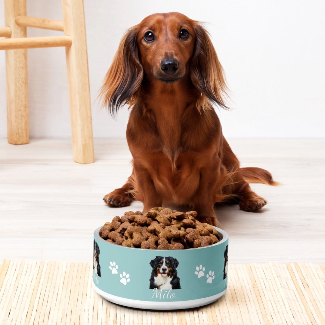 Personalized Photo pet stainless steel bowl with custom text like a name. Available in any color for dogs or cats-ARTFULANE