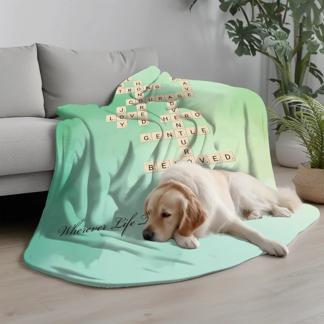 Transparent Blanket(Canva)