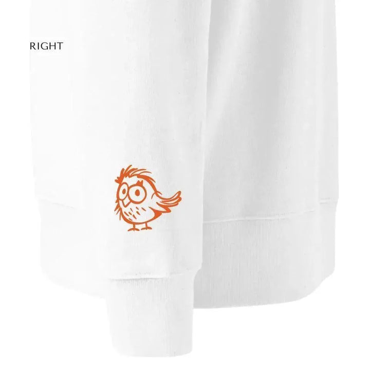 Custom Embroidered Cartoon Birds Sweatshirt and Hoodie - ARTFULANE