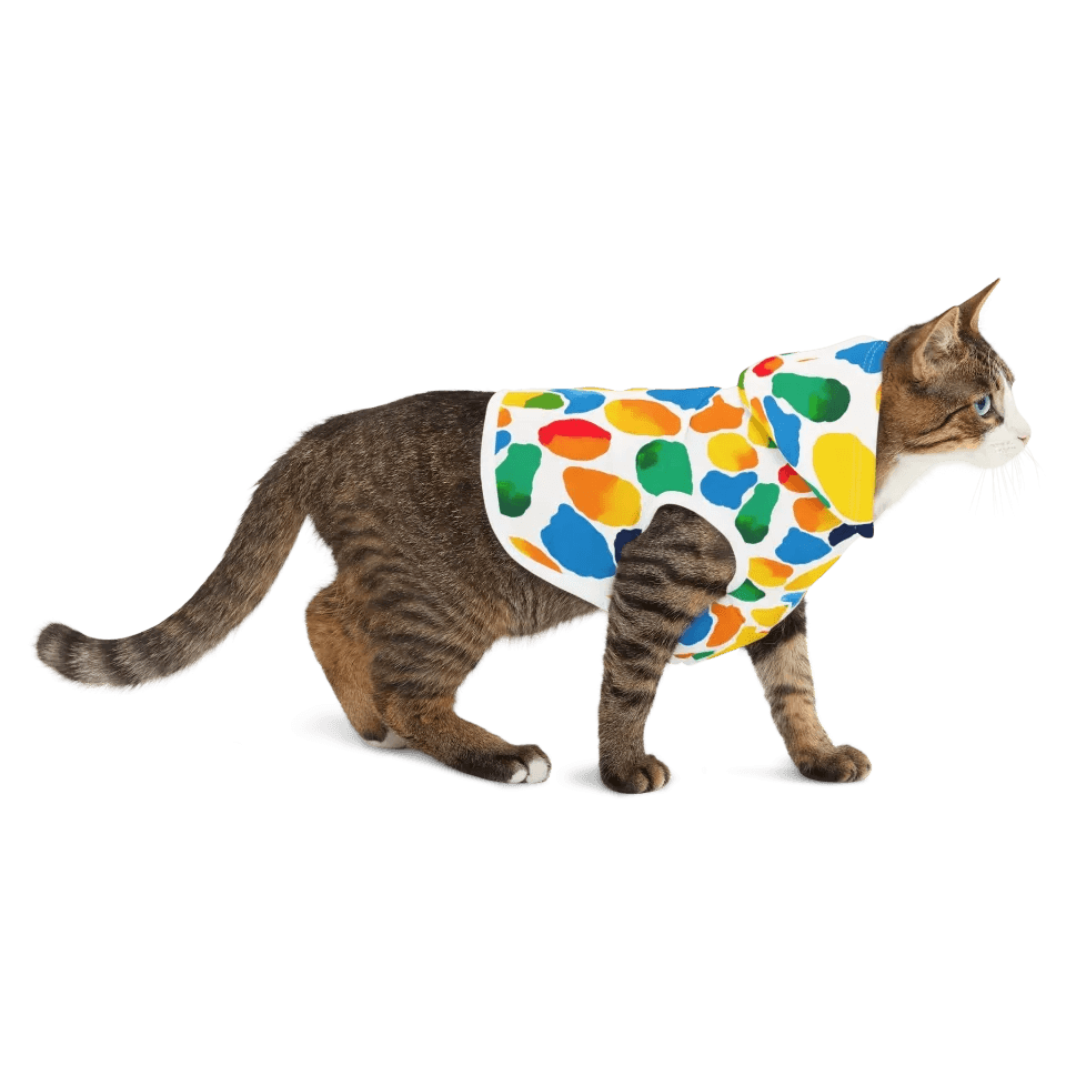 Custom Paws Pet Accessories - ARTFULANE