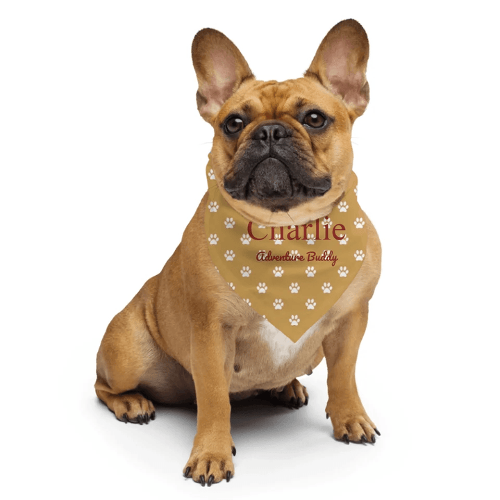 Custom Paws Pet Accessories - ARTFULANE