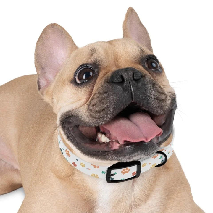 Custom Paws Pet Accessories - ARTFULANE