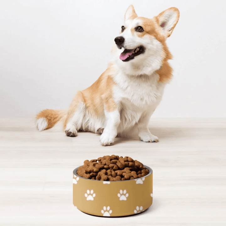 Custom Paws Pet Accessories - ARTFULANE