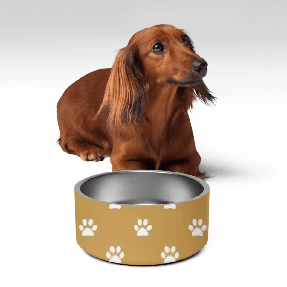 Custom Paws Pet Accessories - ARTFULANE