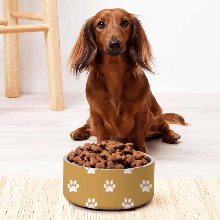 Custom Paws Pet Accessories - ARTFULANE