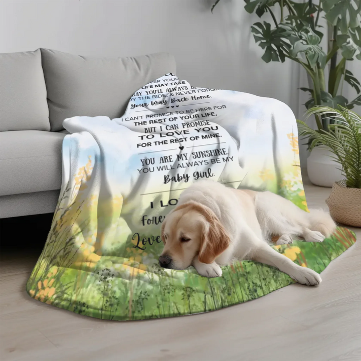 Transparent Blanket(Canva)